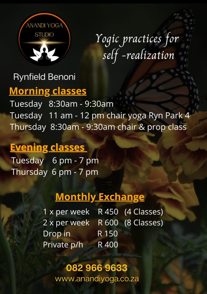 Anandi yoga classes and pricing